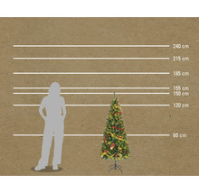 Comparaison de la taille d'un sapin de Noël avec une personne et indications de taille en centimètres.