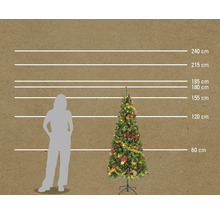 Comparaison de la taille d'un sapin décoré avec des indications de taille en centimètres