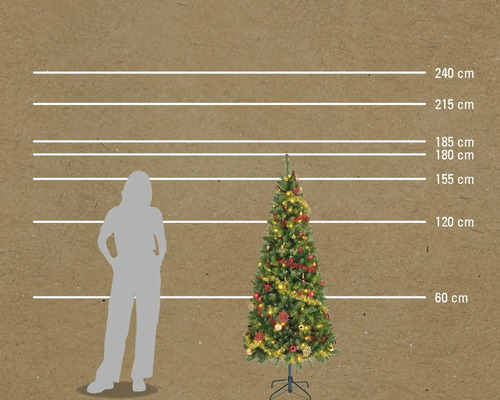 Comparaison de la taille d'un sapin décoré avec des indications de taille en centimètres