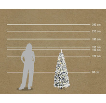 Comparaison de la taille d'une femme et d'un sapin de Noël enneigé et décoré avec des indications de hauteur en centimètres