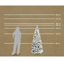 Image d'un arbre de Noël enneigé avec indications de taille