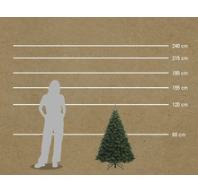 Comparaison de la taille d'un sapin de Noël artificiel avec une femme et indications de hauteur en centimètres