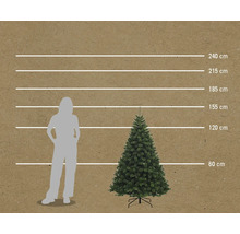 Comparaison de la taille d'un sapin de Noël artificiel avec une personne à l'aide de lignes horizontales allant de 60 cm à 240 cm.