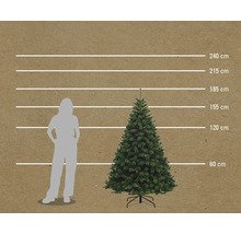 Comparaison de la taille d'un sapin de Noël artificiel avec une personne à l'aide d'indications de taille en centimètres.