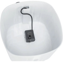 Innenansicht eines Haustierbrunnens mit Pumpe