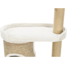 Vue détaillée d'un arbre à chat avec plateforme et tronc en sisal