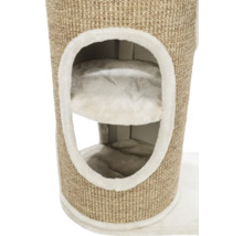 Gros plan d'un arbre à chat avec grotte et revêtement en sisal