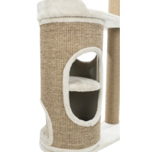 Vue détaillée d'un arbre à chat avec une grotte et une colonne à gratter