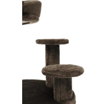 Arbre à chat à plusieurs niveaux pour chats