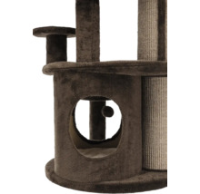 Gros plan d'un arbre à chat marron avec grotte et balle de jeu