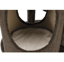 Gros plan d'un espace de couchage d'arbre à chat avec rembourrage souple