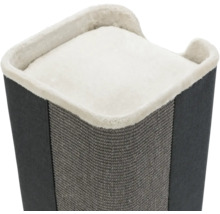 Kratzsäule für Katzen mit Liegefläche