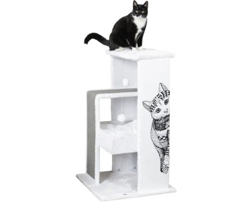 Chat sur un arbre à chat à plusieurs niveaux avec motif de chat