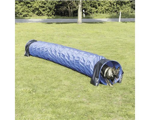 Agility Tunnel für Hunde auf Rasen