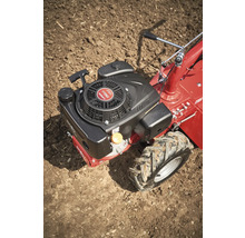 Moteur d'une motobineuse