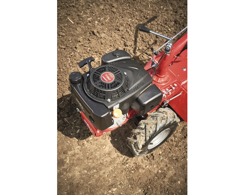 Moteur d'une motobineuse