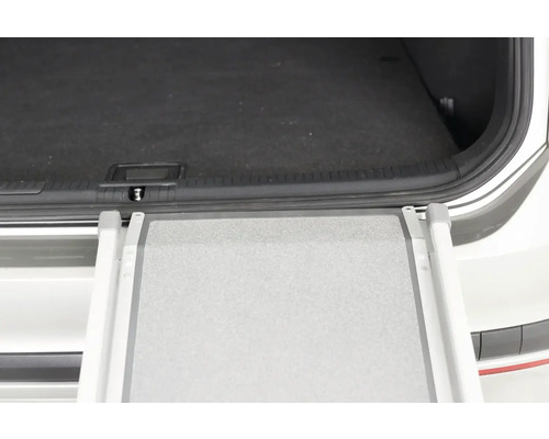 Rampe pour chien fixée à un véhicule, pour un accès facile aux animaux de compagnie