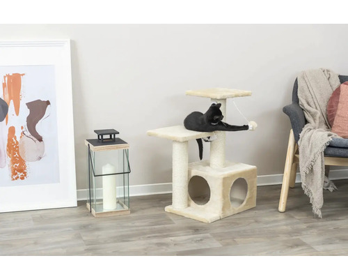 Chat jouant sur un arbre à chat avec niche et plateformes dans le salon.