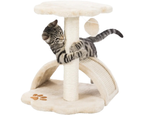 Chat grimpant sur un arbre à chat avec plateforme et jouet