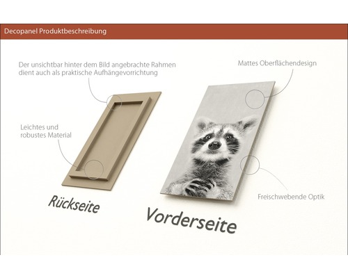 Decopanel mit Rahmenrückseite und Waschbär-Motiv Vorderseite