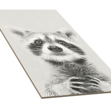 Dekopanel Young racoon 15x30 cm