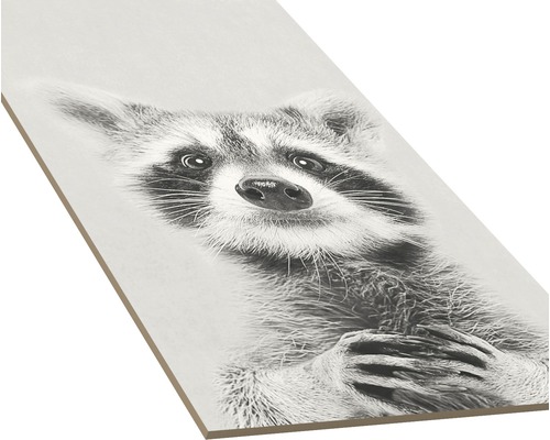Panneau décoratif avec un motif de raton laveur
