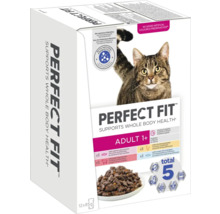 Perfect Fit Adult 1+ nourriture pour chat multipack avec saumon, bœuf, poulet et poisson de mer