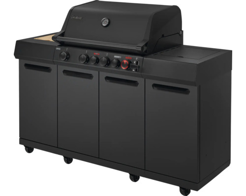 Barbecue à gaz noir avec placard et affichage de la température