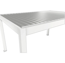 Vue détaillée d'un toit de terrasse avec toit métallique