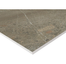 Fliese mit Marmoroptik für Wand und Boden