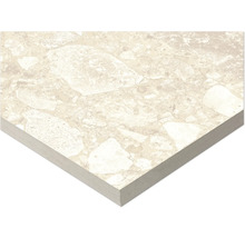 Vue détaillée d'un carreau de sol beige avec motif de pierre