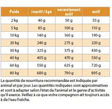 Tableau d'alimentation avec recommandations d'alimentation pour chiens