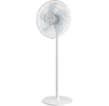 Standventilator