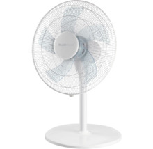 Standventilator mit Blue Palm Logo