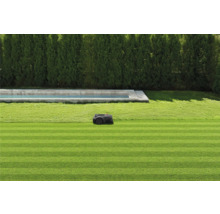 Rasenroboter auf einem gepflegten Rasen neben einem Schwimmbecken