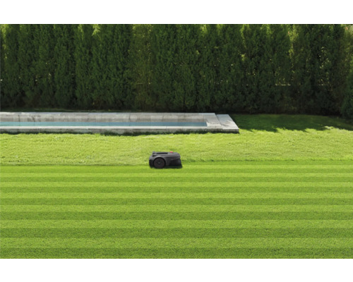 Rasenroboter auf einem gepflegten Rasen neben einem Schwimmbecken