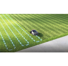 Rasenmähroboter im Einsatz auf einer Rasenfläche