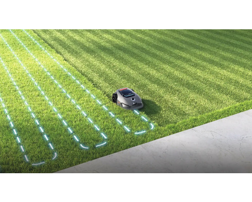 Rasenmähroboter im Einsatz auf einer Rasenfläche