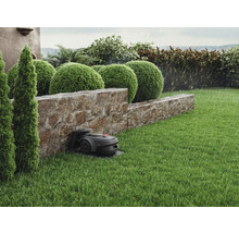 Szene im Garten bei Regen mit Rasenmähroboter unter Steinmauer