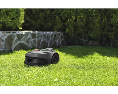 Rasenmähroboter auf einer Rasenfläche im Garten.