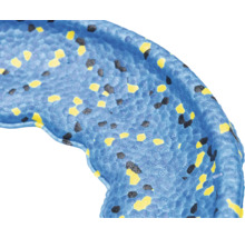 Ausschnitt eines blauen Badesitzrings mit gelben und schwarzen Elementen.