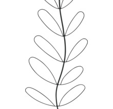 Illustration einer dekorativen Blattpflanze