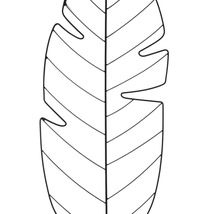 Monstera Blatt Illustration