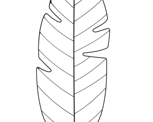 Monstera Blatt Illustration