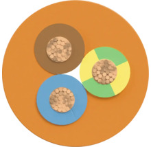 Section de câble avec trois fils