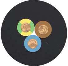 Coupe transversale d'un câble électrique à trois conducteurs