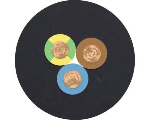 Coupe transversale d'un câble électrique à trois conducteurs