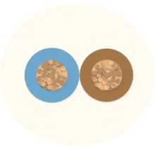 Querschnitt eines zweiadrigen Kabels mit Kupferleitern