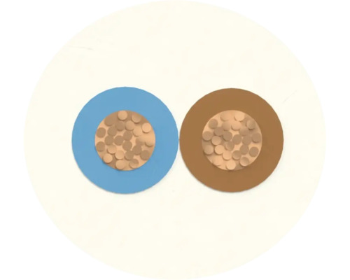 Querschnitt eines zweiadrigen Kabels mit Kupferleitern