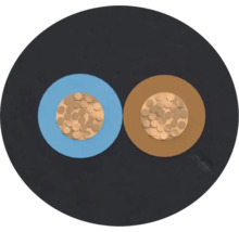 Section transversale d'un câble électrique à deux conducteurs